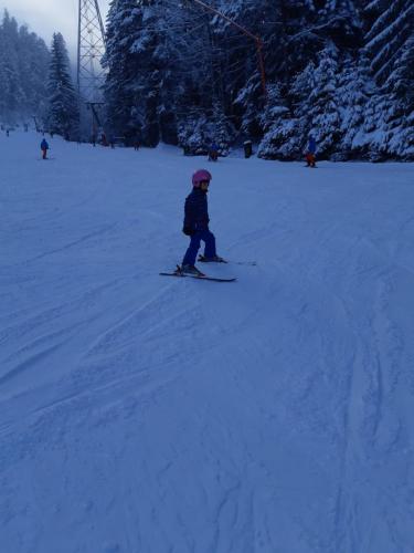 One Ski School -  (1)