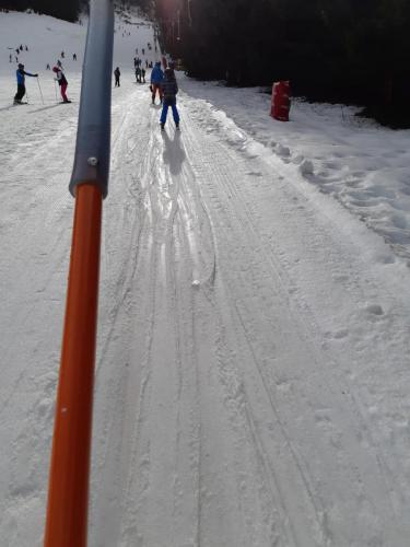 One Ski School -  (134)