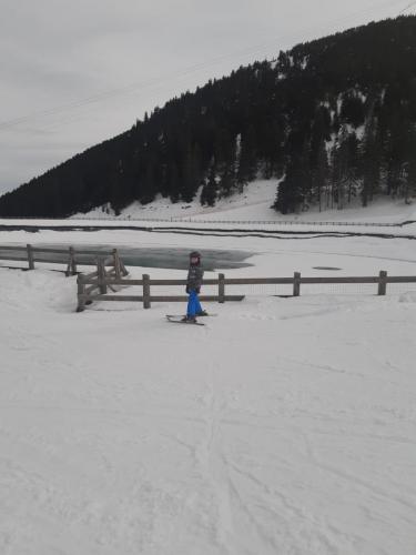 One Ski School -  (142)