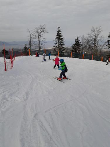 One Ski School -  (150)