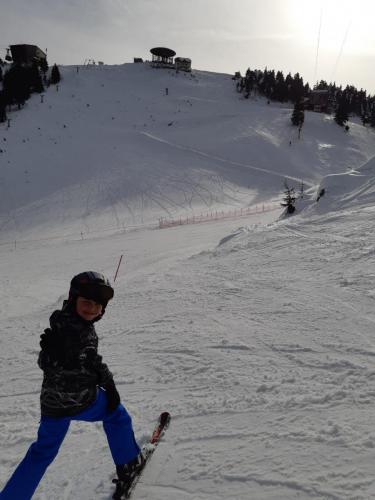 One Ski School -  (155)