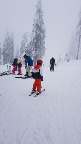 One Ski School -  (5)
